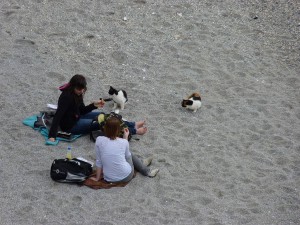 Calahonda beach, Nerja