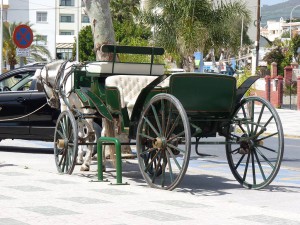 Carriage horse, Nerja