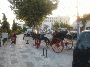 Carriage Horses, Nerja