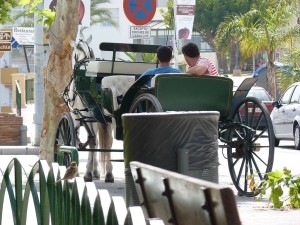 Carriages, Nerja