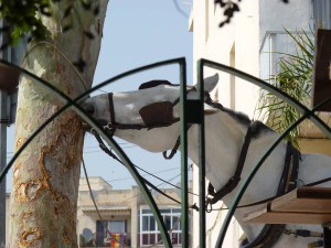 Carriages, Nerja