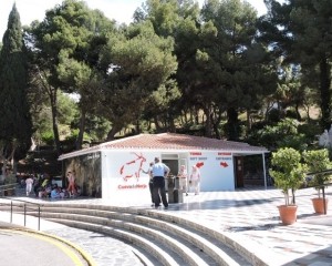 Nerja Caves