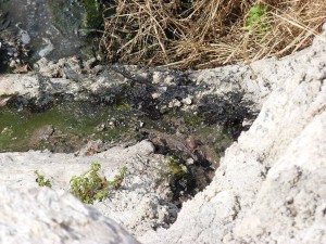 rio Chillar, Nerja, effluent