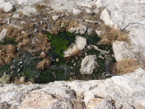 rio Chillar, Nerja, effluent