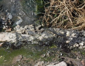 rio Chillar, Nerja, effluent