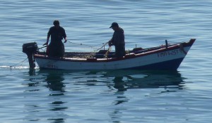 Fisherman, Nerja