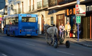 horse and plough, Nerja