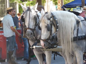 Nerja Feria