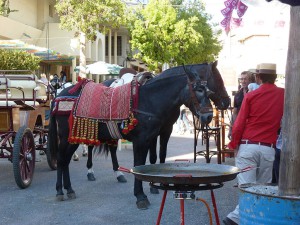 Nerja Feria