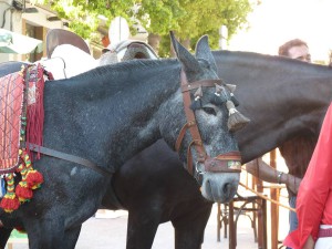 Nerja Feria