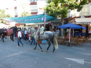 Nerja Feria