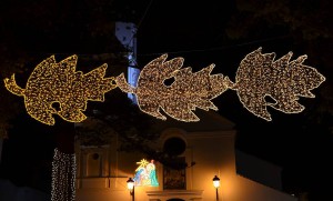 Christmas lights 2012, Nerja