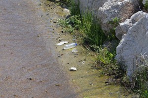 rubbish in the river, Nerja