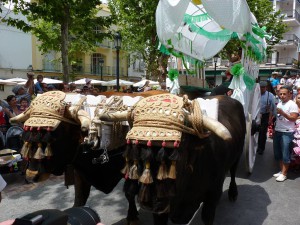 San Isidro 2011, Nerja