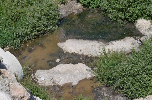 sewage in the river, Nerja