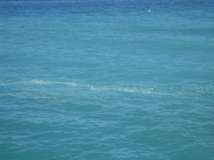 Slick, Torrecilla beach, Nerja