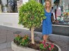 Nerja, plants in calle Pintada